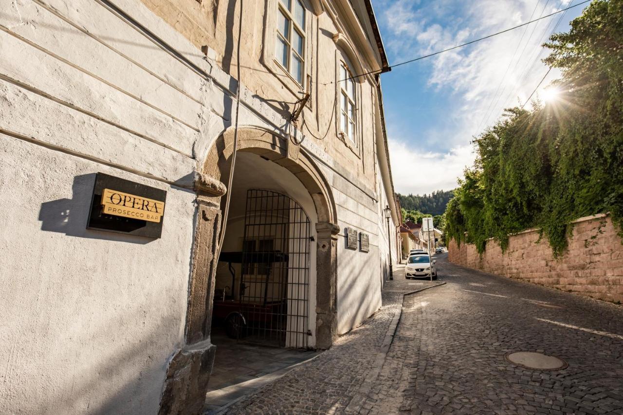 Apartman Blue Moon Banská Štiavnica المظهر الخارجي الصورة